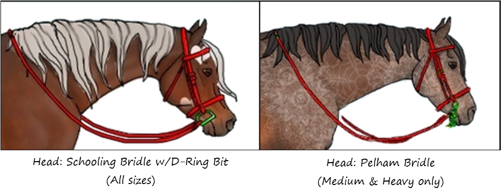 Free Account Head Bridles.png