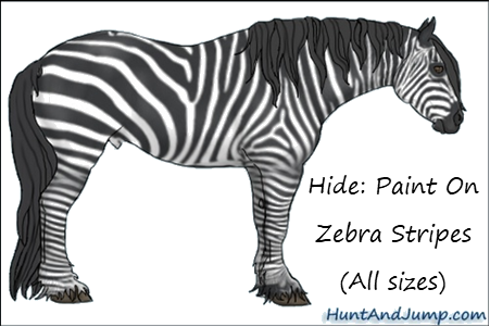 Free Account Hide Paint On Zebra Stripes.png