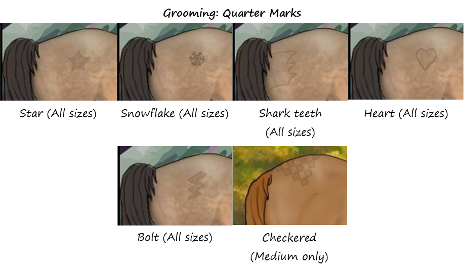 Free Account Grooming Quarter Marks.png