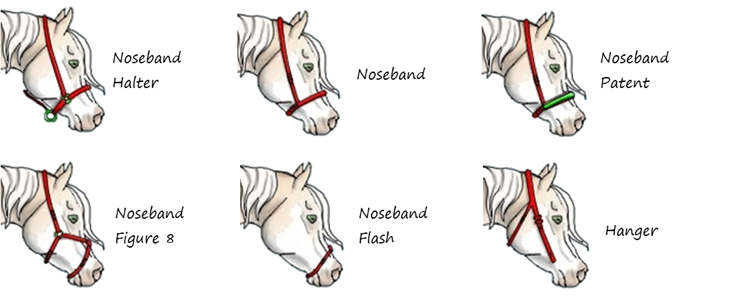 A series of 6 horses' heads displaying different styles of nosebands and hangers.