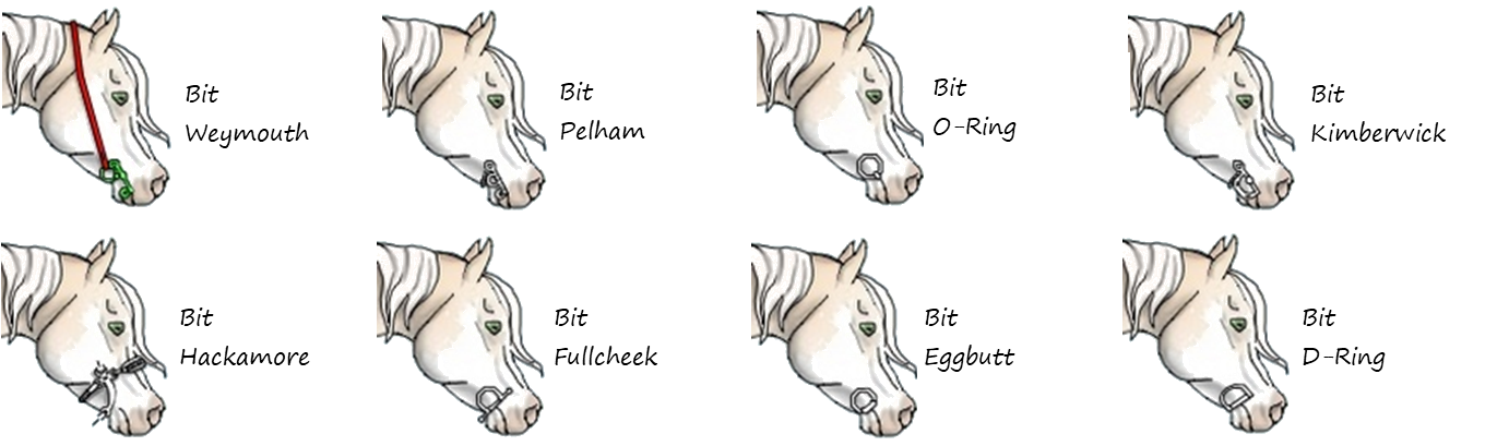 A series of eight horses' heads displaying different styles of bits.