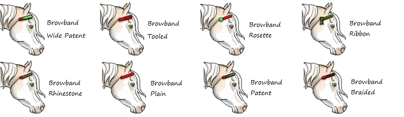 A series of eight horses' heads displaying different styles of browbands.