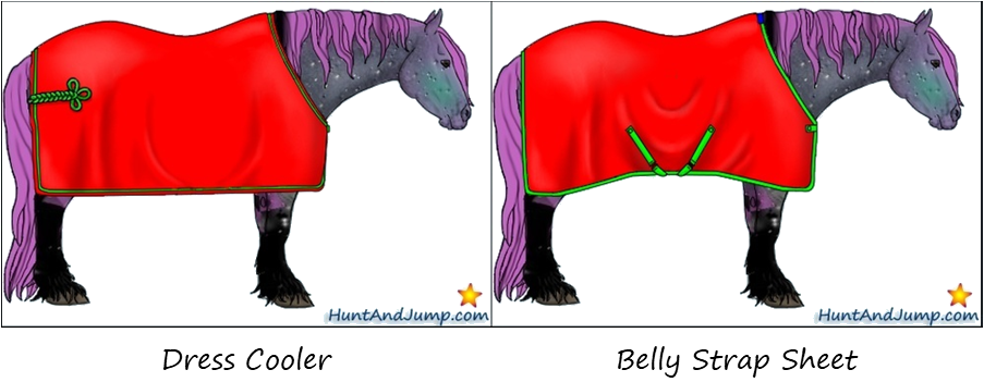 Two horses wearing different styles of sheets.